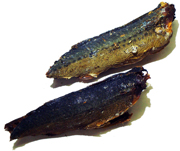 ���ۂ��ΐ߁i�����j