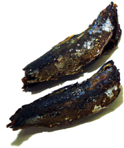 ���ۃ����߁i�����j