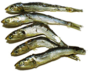 �ϊ� P �i�J�^�N�`�C���V�j