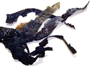 �炤�����z�i���j